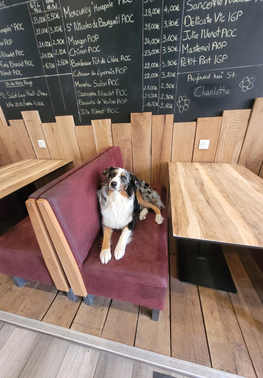 restaurant traditionnel à La Celle-sur-Loire (58) près de Cosne sur Loire